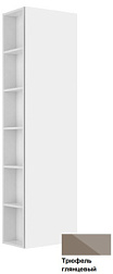 Шкаф-колонна Plan 48х30х175 см, трюфель глянцевый, с боковыми полками, правый, подвесной монтаж, Keuco 32931140002 Keuco