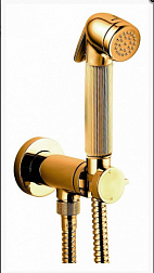 Встраиваемый гигиенический душ Nikita смеситель прогрессивный, одноэлементный, металл, золото, с защитой от потопа, Bossini E37008.021 Bossini