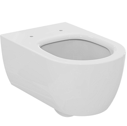 Подвесной унитаз Blend Curve 35,5х54 см, без сиденья, Ideal Standard T374901 Ideal Standard