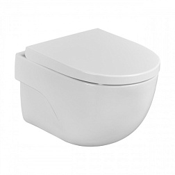 Подвесной унитаз Meridian 35,5х48 см, безободковый, с сиденьем, Roca 7346244000+ZRU9307606 Roca