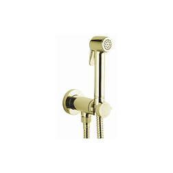 Встраиваемый гигиенический душ Paloma Brass одноэлементный, пластик, золото, с защитой от потопа, Bossini E37005B.021 Bossini