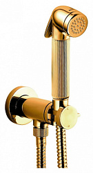 Встраиваемый гигиенический душ Nikita одноэлементный, металл, золото, с защитой от потопа, Bossini E37008B.021 Bossini